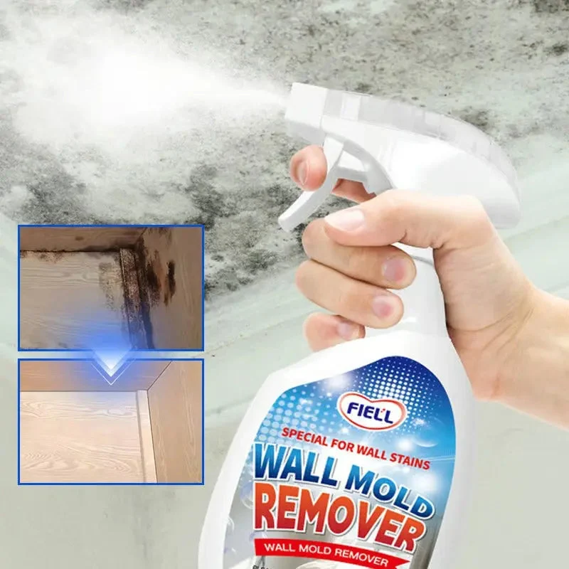 Moldexia™ | Schnell wirkendes Anti-Schimmel Spray — Kein Schrubben erforderlich