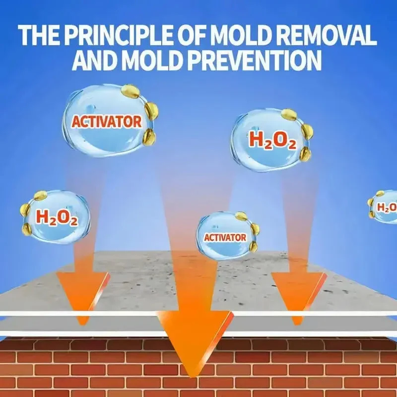 Moldexia™ | Schnell wirkendes Anti-Schimmel Spray — Kein Schrubben erforderlich