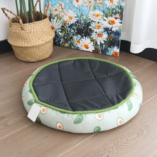 Avocado-Thema Katzensaison