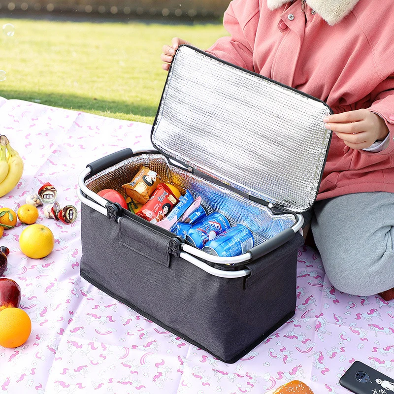 Isolierte Picknicktasche Skanto