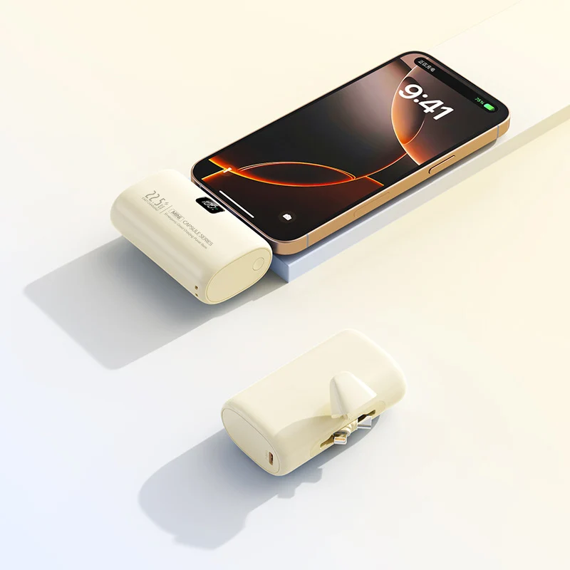 Tragbare Powerbank mit integriertem Ladegerät Skanto