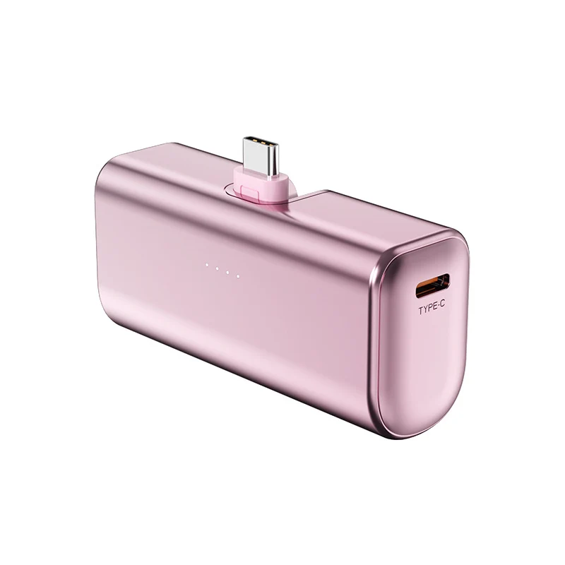 Tragbare Powerbank mit integriertem Type-C-Anschluss und LED-Anzeige Skanto