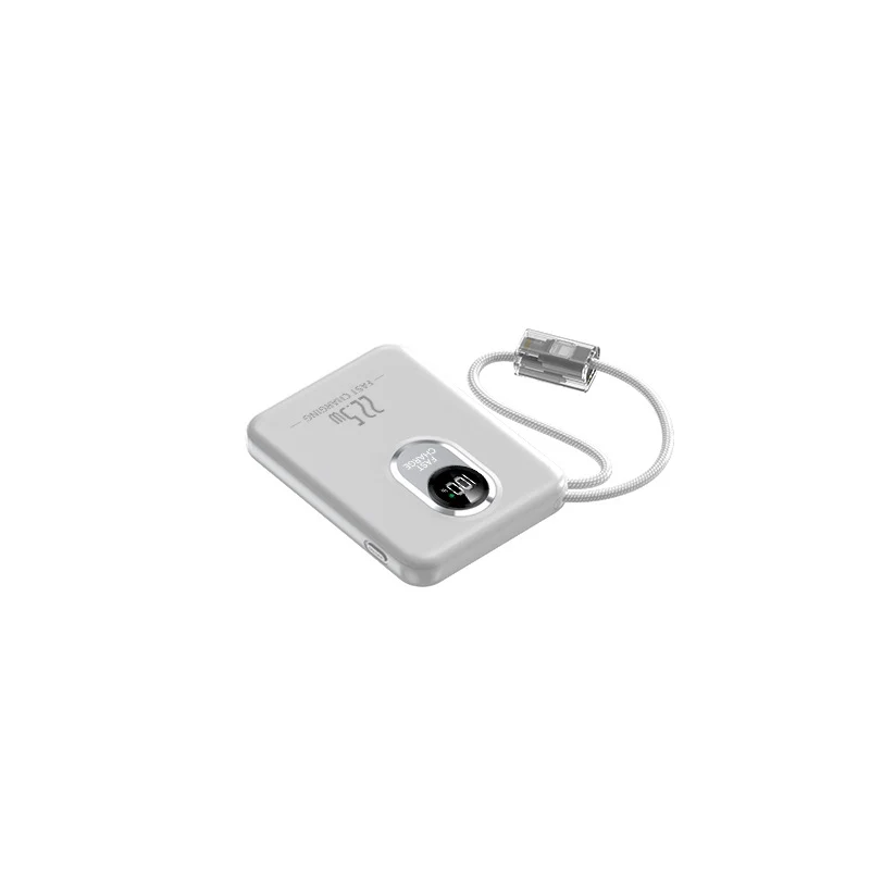 Powerbank für Skanto