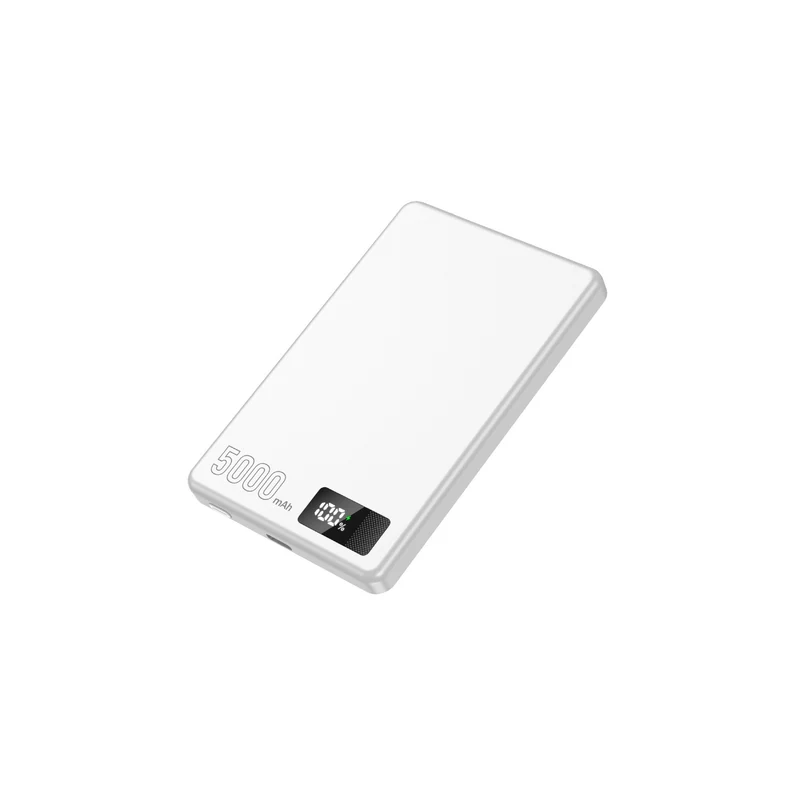 Hochleistungs-Powerbank mit kabelloser Ladefunktion und Schnellladeoption Skanto