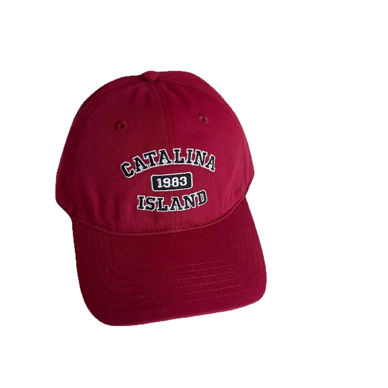 Herren Freizeit Bestickte Dad Hat Skanto