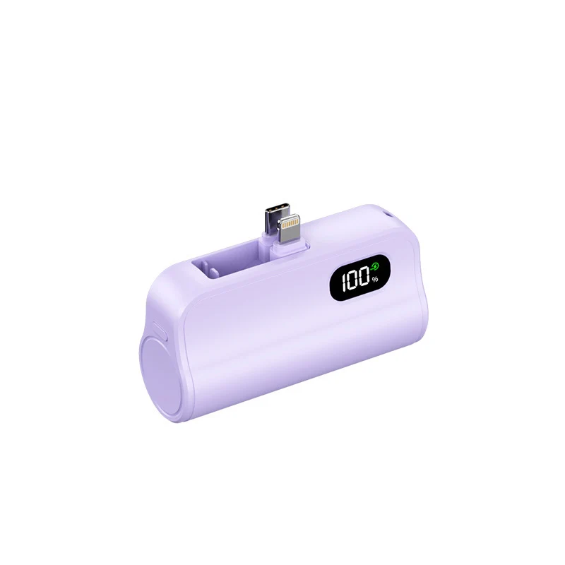 Kompakte Dual-Charge Powerbank mit Digitalanzeige Skanto