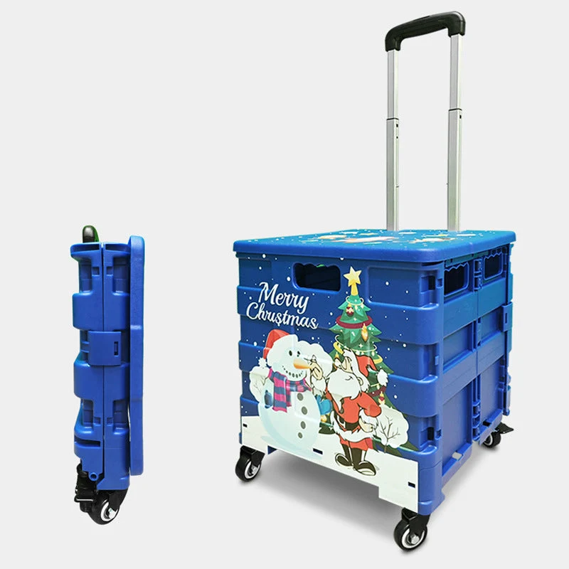 Skanto Rollbox für Kinder