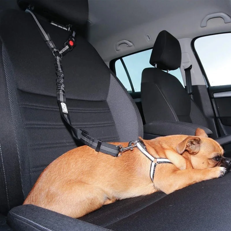 Skanto Hunde-Autosicherheitsgurt Skanto