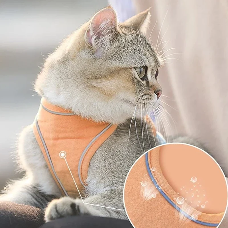 Geschirr- und Leinen-Set für Katzen | Skanto