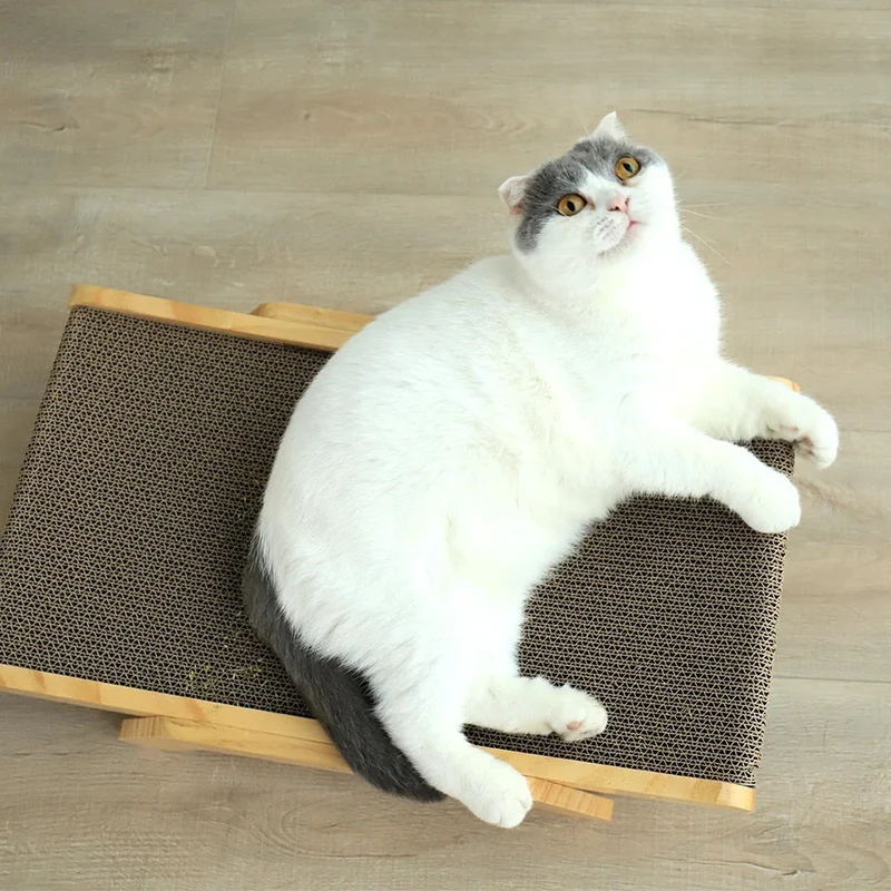Luna Katzenkratzbett Skanto