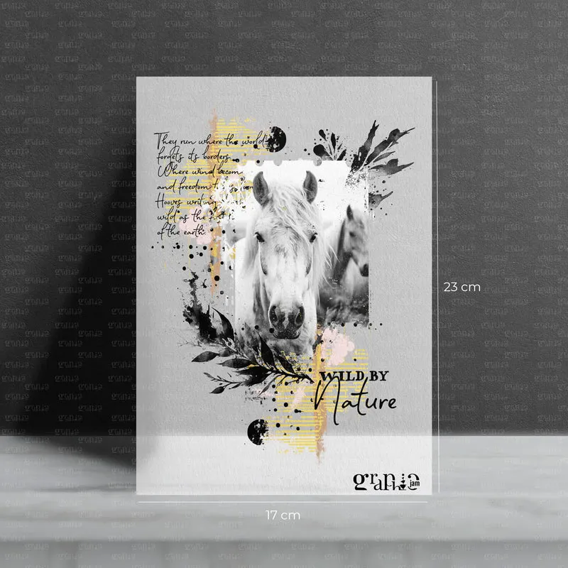Bügelbild Pferde - Wild Horses