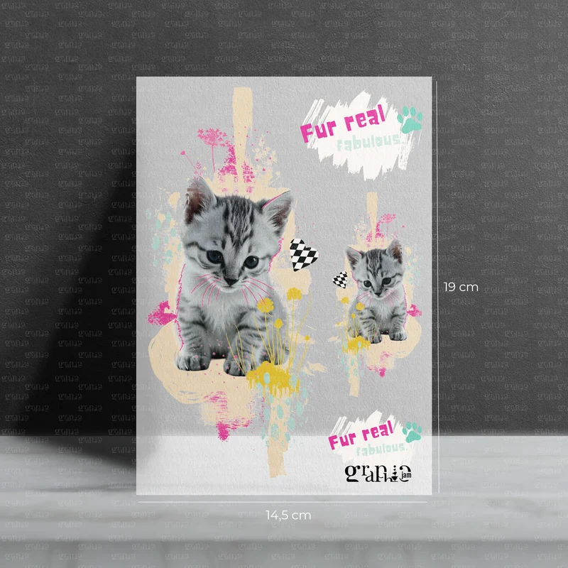 Bügelbild Set – Cutie Cat | Statement Set