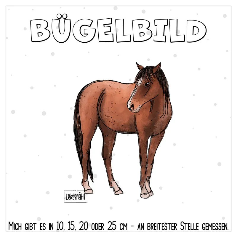 VORBESTELLUNG! Pferd - KATZENGOLD