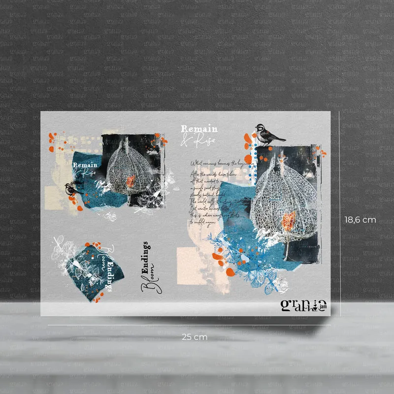 Bügelbild Set – Remain & Rise | Pocket Stories