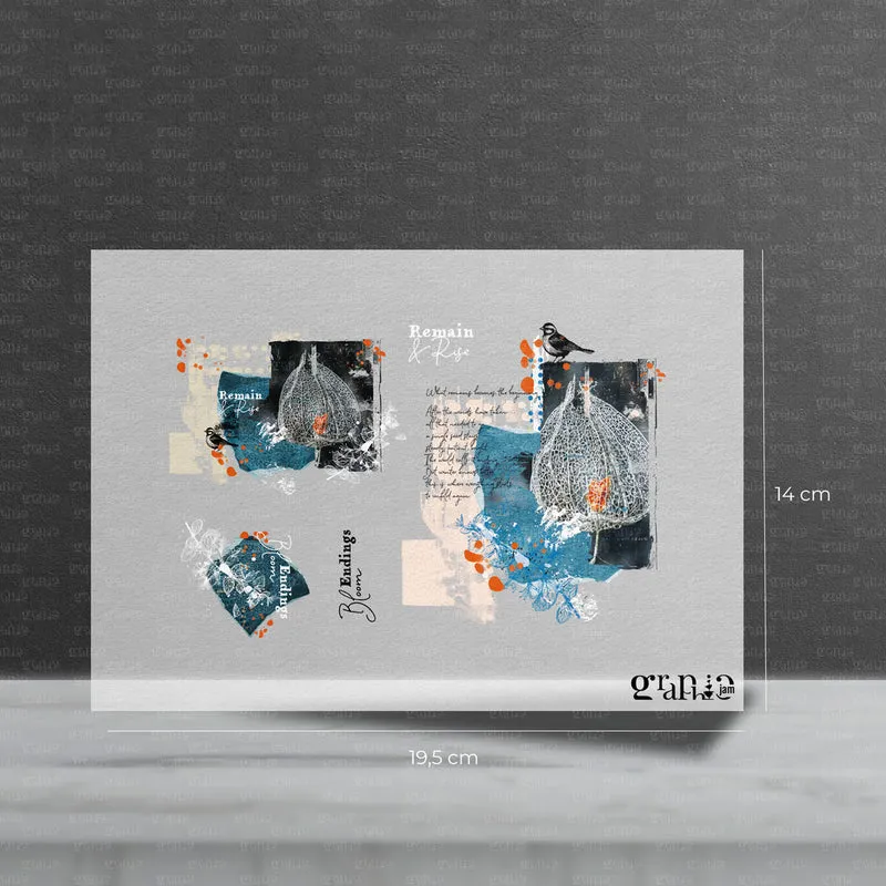 Bügelbild Set – Remain & Rise | Pocket Stories