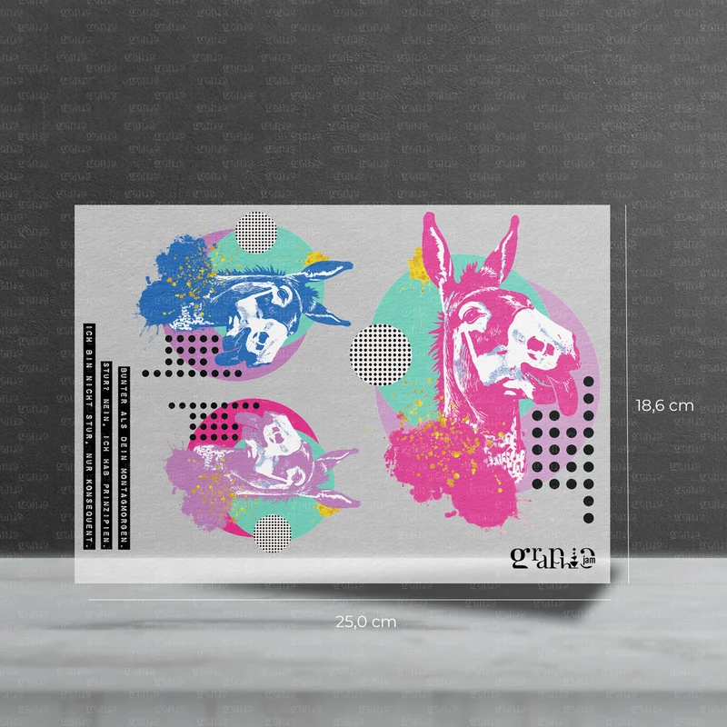 Bügelbild Set – Pop Art Donkey | Statement Set