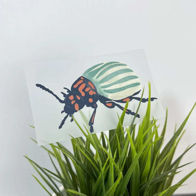 Bügelbild "Kartoffelkäfer" – Farbenfrohes Design für Insektenfreunde
