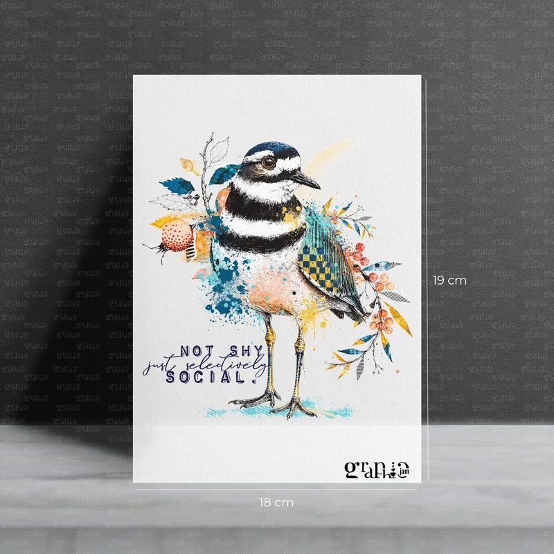Bügelbild Social Birdie