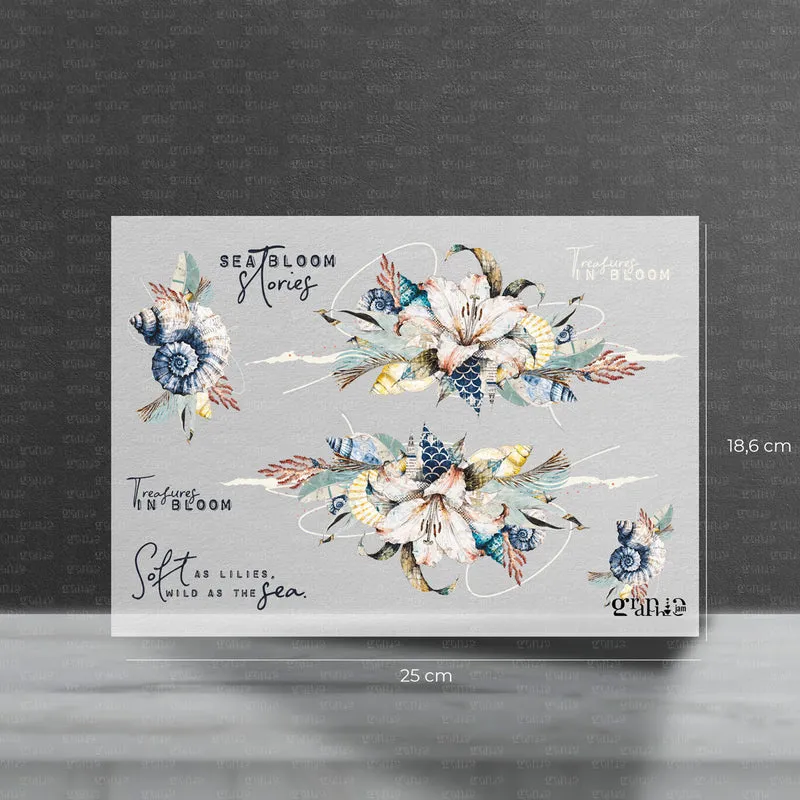 Bügelbild Set – Lillies & Shells Borten