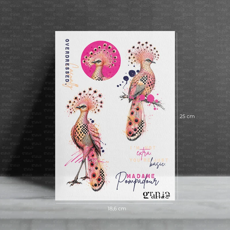 Bügelbild SET Madame Pompadour