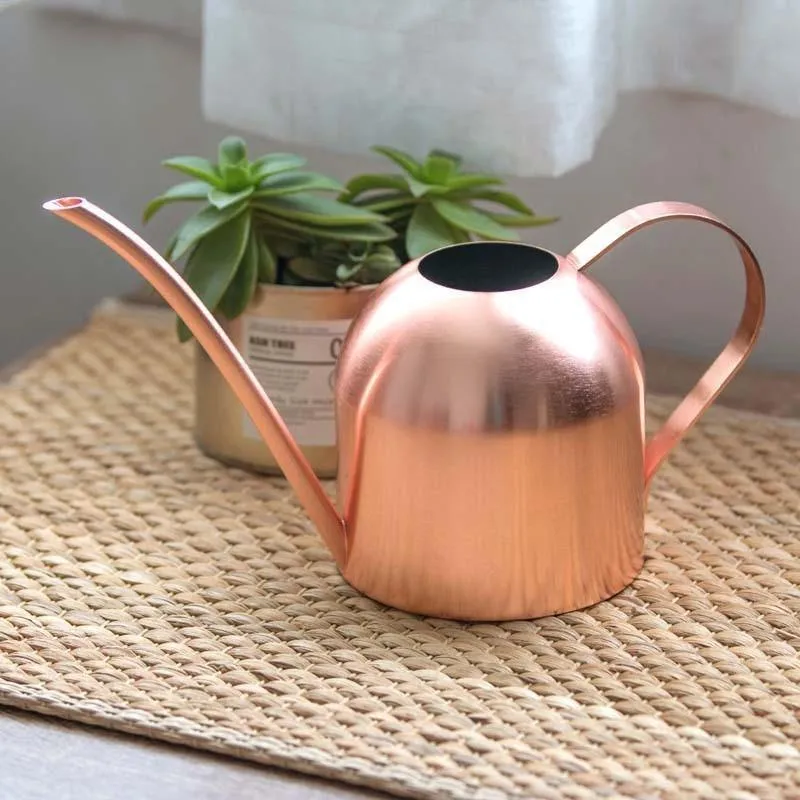 Gießkanne aus Edelstahl mit flexiblem Hals | Modernes Design | Perfektes Gießen | Rostet nicht