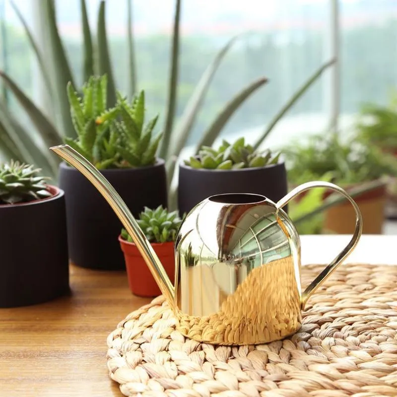 Gießkanne aus Edelstahl mit flexiblem Hals | Modernes Design | Perfektes Gießen | Rostet nicht