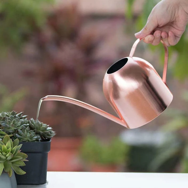 Gießkanne aus Edelstahl mit flexiblem Hals | Modernes Design | Perfektes Gießen | Rostet nicht