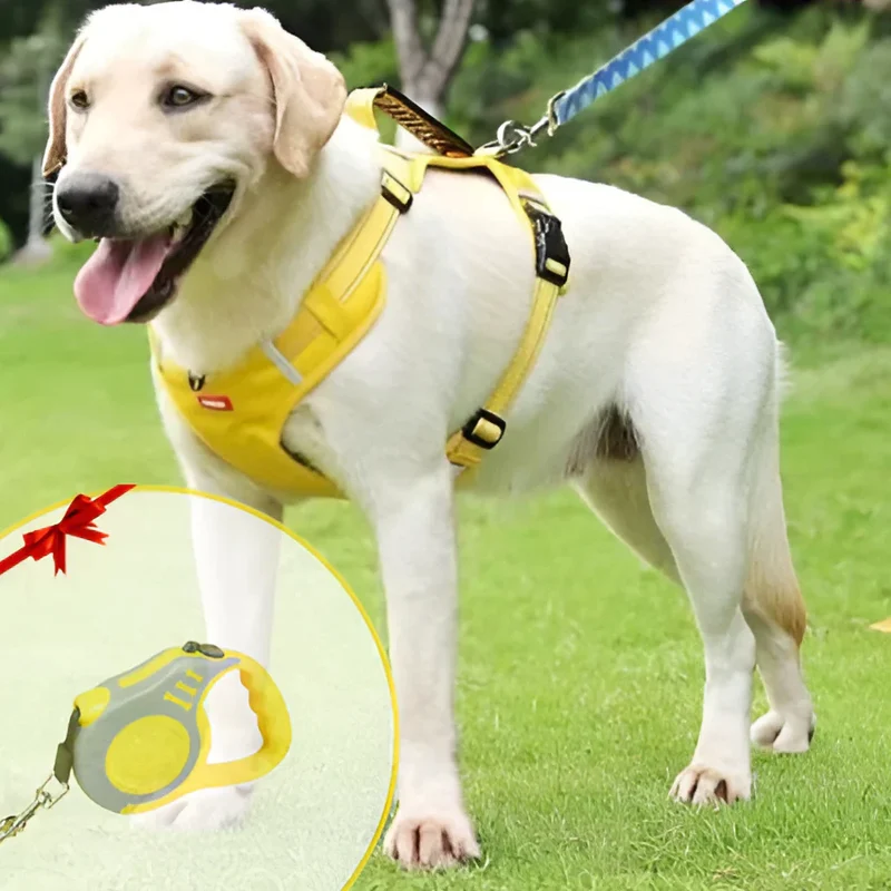NoPull Hundegeschirr – WalkEase Skanto