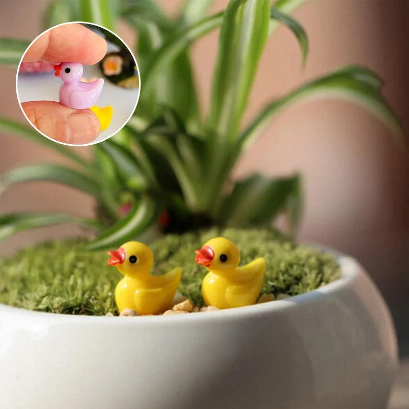 🦆Winzige Enten | Versteckspiel-Enten-Challenge | Norvo