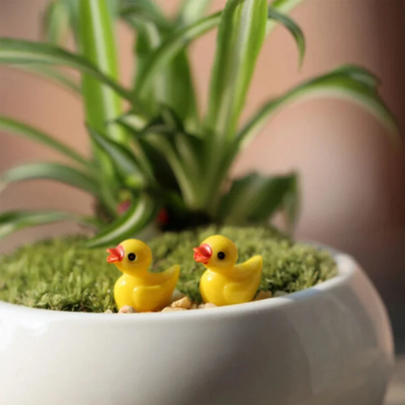 🦆Winzige Enten | Versteckspiel-Enten-Challenge | Norvo